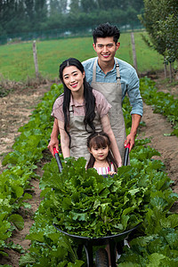 笑生食东方家庭采摘蔬菜图片