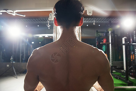 健身器械青年男人在健身房健身图片