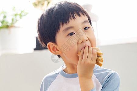 儿童教育幼儿园小朋友吃三明治图片