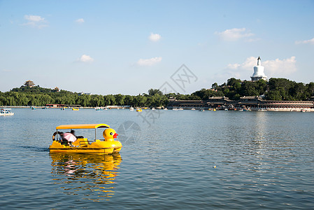 可爱动物形象动物形象地标建筑北京北海公园游船背景