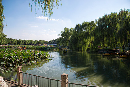北海湿地树林水旅游北京北海公园背景
