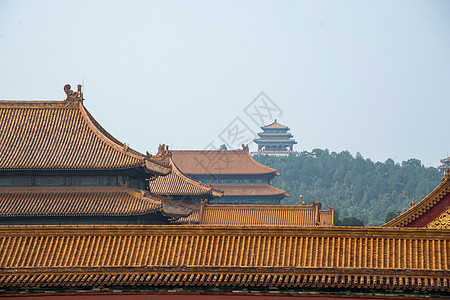 黄色建筑宏伟北京故宫背景