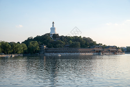 植物保护白塔亭台楼阁树林北京北海公园背景