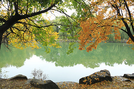 城市美景风景北京风光背景图片