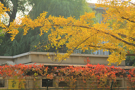 美景建筑都市风光北京风光图片