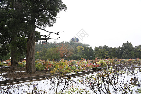 风景都市风光建筑北京风光图片