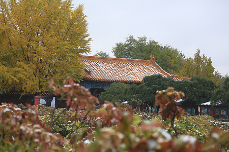 风景建筑城市北京风光图片