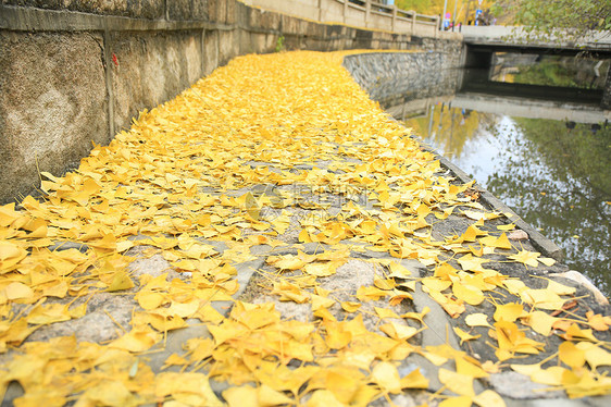 城市美景都市风光北京风光图片