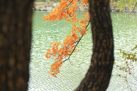 风景都市风光美景北京风光图片