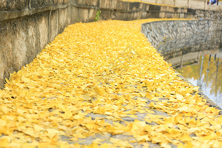 建筑都市风光风景北京风光图片