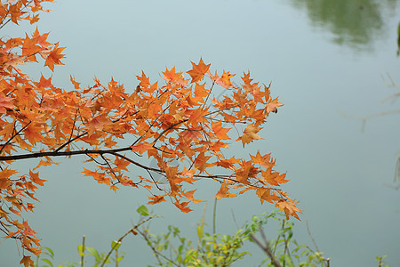 风景美景建筑北京风光背景图片