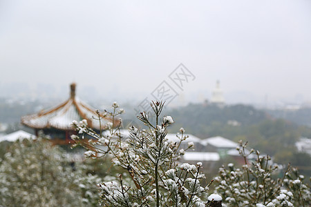 建筑城市都市风光北京风光图片