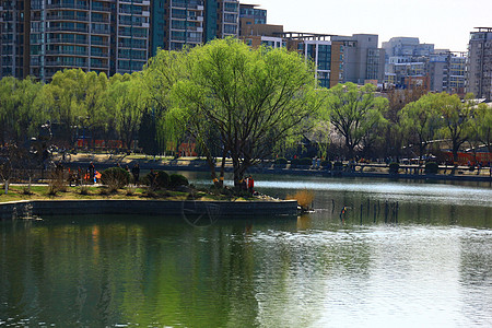 建筑都市风光美景北京风光图片