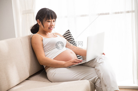 笔记本电脑露出肚子女人孕妇使用电脑图片
