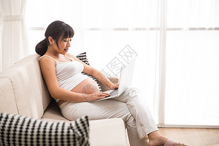 希望沙发女人孕妇使用电脑图片