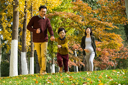 孕妇小孩毛衣非都市风光公园幸福家庭在户外玩耍背景