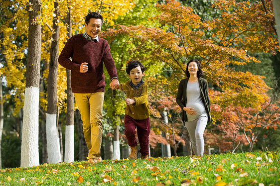 毛衣非都市风光公园幸福家庭在户外玩耍图片