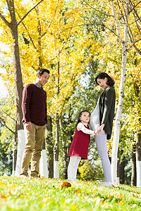 孕妇摄影摄影爱步行幸福家庭在户外玩耍背景