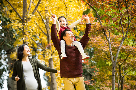 成年人银杏树日光幸福家庭在户外玩耍图片
