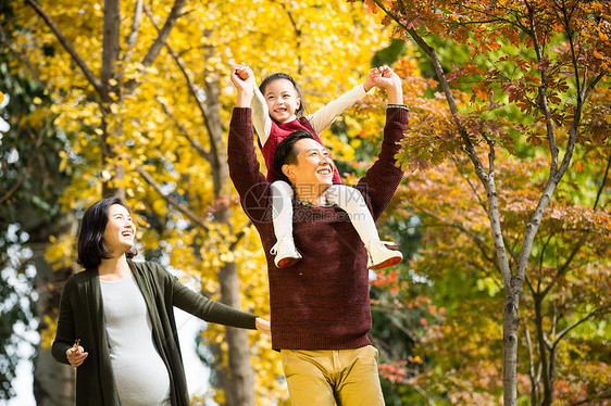 成年人银杏树日光幸福家庭在户外玩耍图片