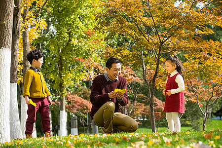 公园东亚户外活动幸福家庭户外玩耍图片
