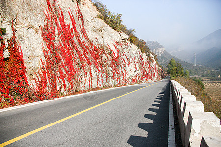 香山红叶如画亚洲地貌红色北京郊区的公路背景