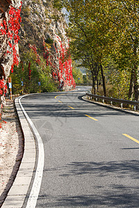 季节自然美垂直构图北京郊区的公路图片