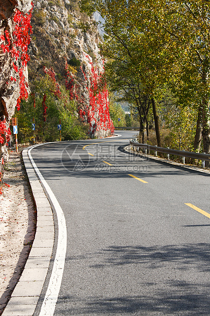 季节自然美垂直构图北京郊区的公路图片