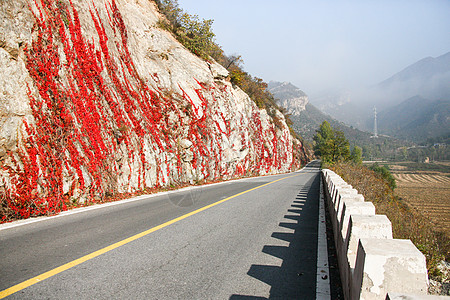 香山红叶如画弯曲东亚自然景观北京郊区的公路背景