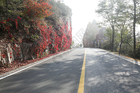 水平构图自然美白昼北京郊区的公路图片