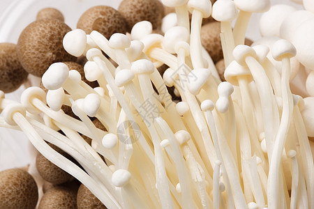 健康食物烹调蔬菜蘑菇图片