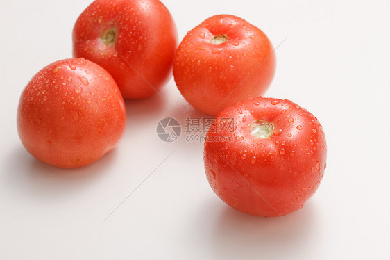 水珠食品静物西红柿图片