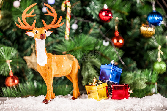 鹿庆祝祝福圣诞节装饰图片