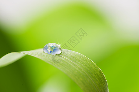 水滴摄影影棚拍摄摄影水滴绿叶水珠背景