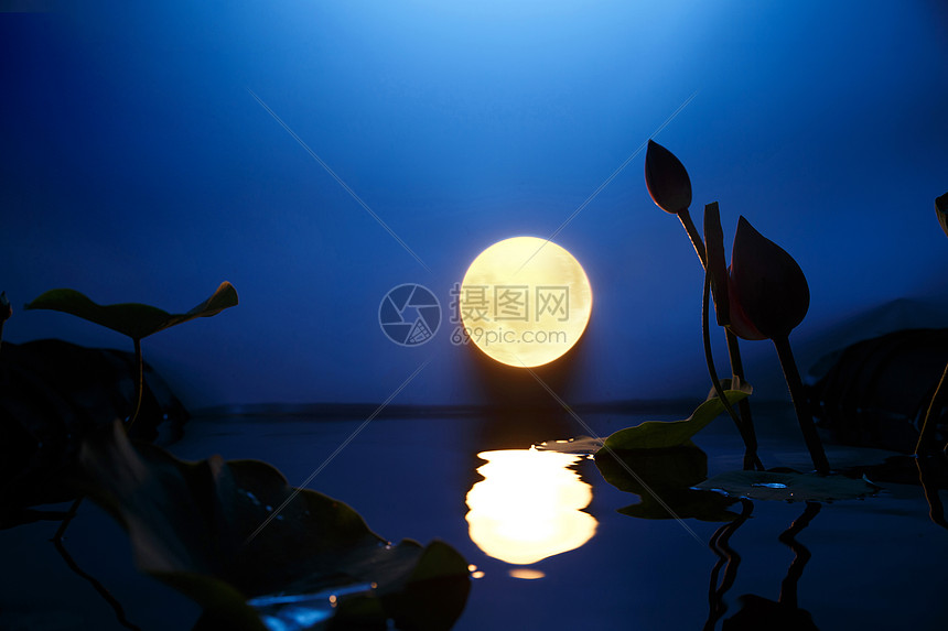 池塘摄影蓝色中秋圆月