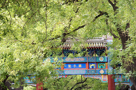 彩色图片都市风光白昼北京国子监图片