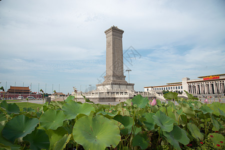 荷花元素旅游风光北京人民英雄纪念碑背景