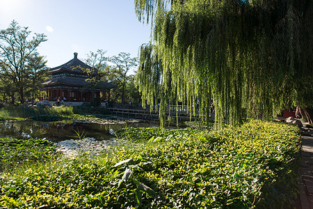 国际古迹遗址日国际著名景点北京圆明园背景
