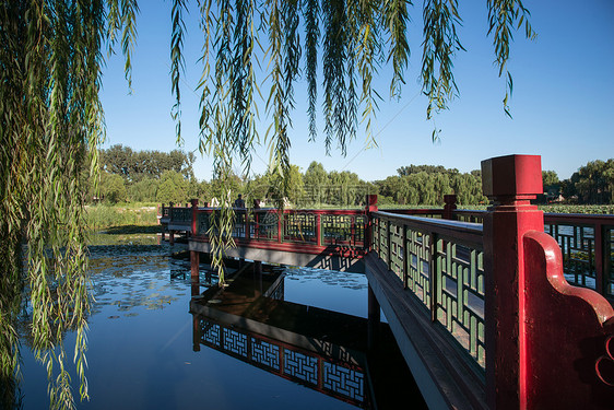 水水平构图桥北京圆明园公园图片