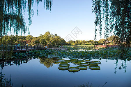 北京城市摄影摄影文化都市风光北京圆明园公园背景