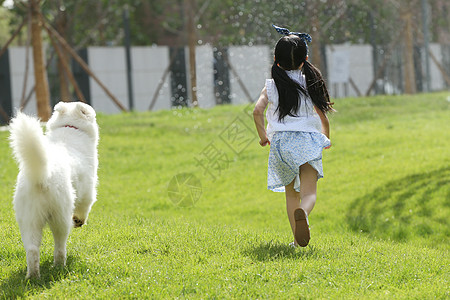 草地玩耍儿童小女孩在草地上玩耍背景