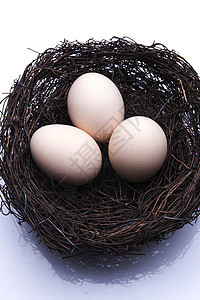 鸟蛋营养静物土鸡蛋图片