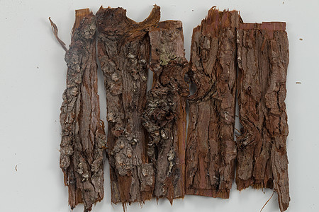 硬木树皮图片