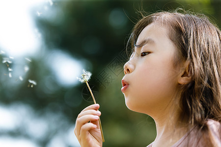 可爱的女孩吹蒲公英图片