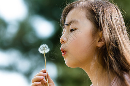 可爱女孩吹蒲公英图片