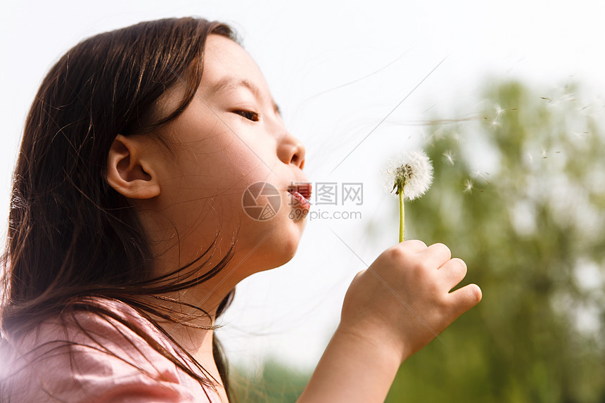 儿童纯洁写真可爱的女孩在户外图片