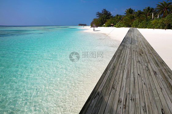 栈桥码头棕榈树自然景观马尔代夫海景风光图片