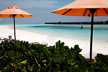 旅行遮阳伞彩色图片马尔代夫海景风光图片