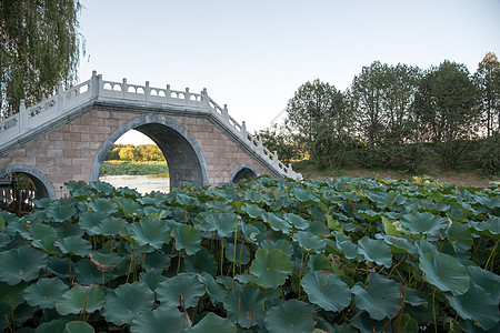 绿色城市人造建筑都市风景亭台楼阁北京圆明园背景