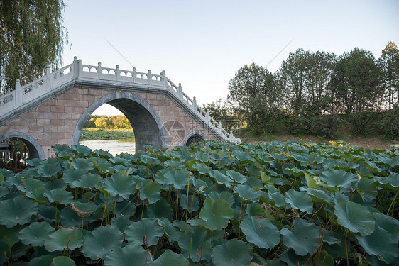 人造建筑都市风景亭台楼阁北京圆明园图片